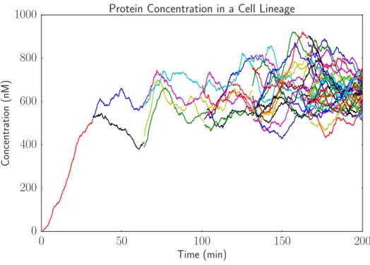 Figure 4: Simulation with cell growth and partitioning shows variation in gene expression across a lineage of cells.