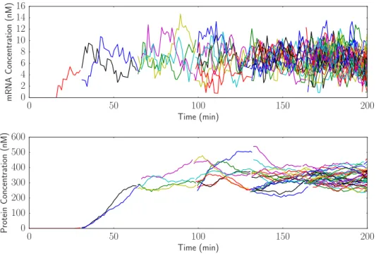 Figure 5: Simulation with cell growth and partitioning in addition to delay shows reduced steady state gene expression across a lineage of cells.