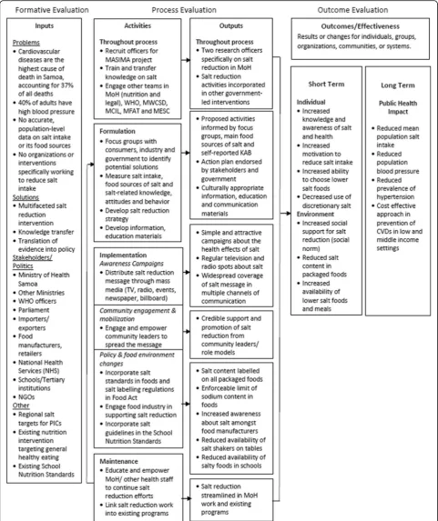Fig. 1 Logic model for Samoa salt reduction strategy adapted from the Center for Training and Research Translation evaluation framework