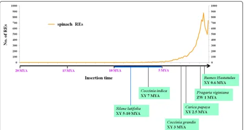 Fig. 8 Evolutionary age of the reported sex chromosomes of dioecious plants and insertion age of LTR-REs in spinach