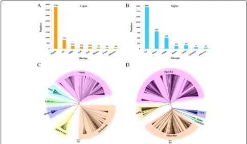 Fig. 1 Number and phylogenetic analysis of full-length REs identified in the spinach genome and were subdivided into superfamilies andtree of RT domain protein sequences in different lineages oflineages