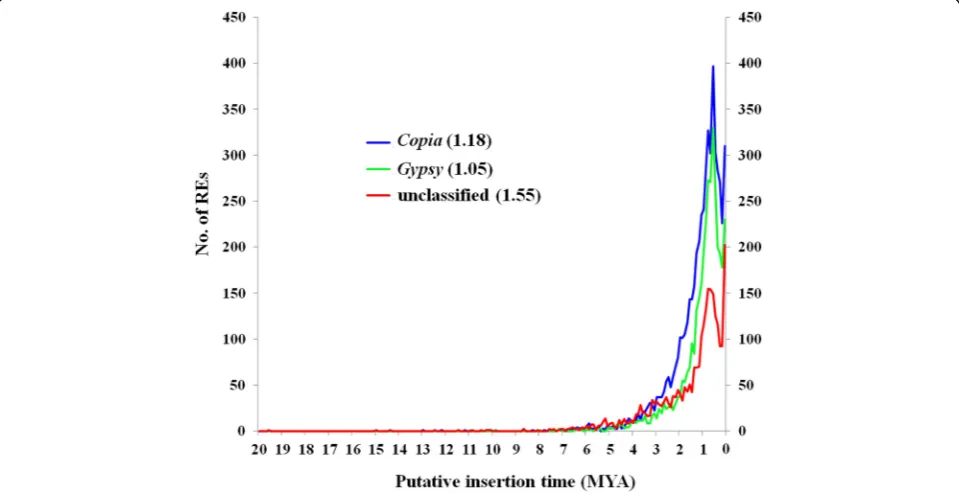 Fig. 2 Distribution of Copia, Gypsy, and unknown full-length LTR-REs according to their estimated insertion ages (MY)
