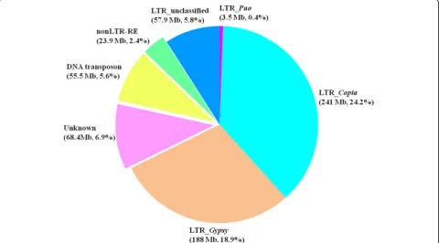 Fig. 3 Putative insertion ages of the main spinach LTR-RE lineages. The boxes represent 25–75% of each LTR-RE lineage, whiskers representthe whole range of values, and vertical lines in the box represent the medians of distribution