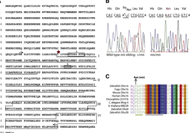 Fig. 8), consistent with identi ﬁcation of a maternal-effect mutation in this gene. As development proceeds, transcript levels appear unchanged until gastrulation (Supp