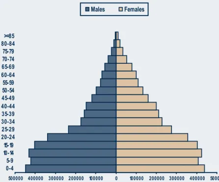 Figure EC1:  Age structure of the Eastern Cape  population, 2000