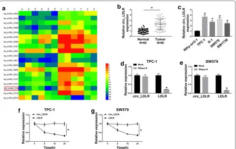 Fig. 1 Circ_LDLR level was elevated in PTC tissues and cells. a Circ_LDLR was upregulated in PTC according to the analysis of GEO dataset GSE93522