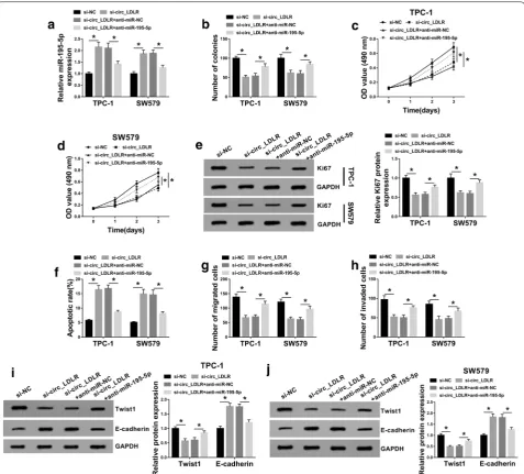 Fig. 4 MiR-195-5p inhibition reversed the inhibitory effect of circ_LDLR knockdown on PTC cell progression