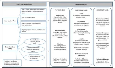 Fig. 1 K-DPP intervention inputs and implementation evaluation factors