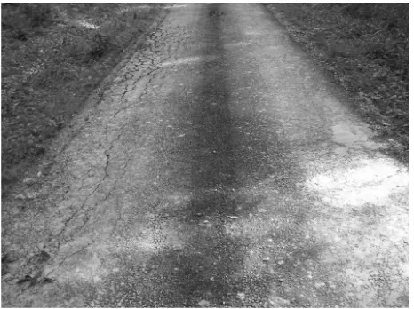 Fig. 12 Left rutting on AC 22 (Ver. 7)
