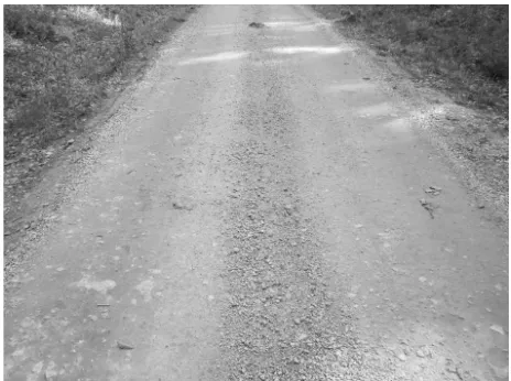 Fig. 15 Unsurfaced lime stabilization (Ver. 5)