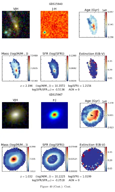 Figure 40 (Cont.): Cont.