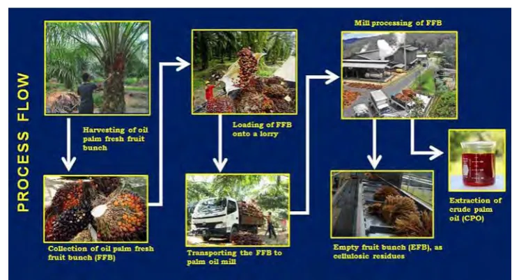 Figure 1.3: The palm oil process flow 