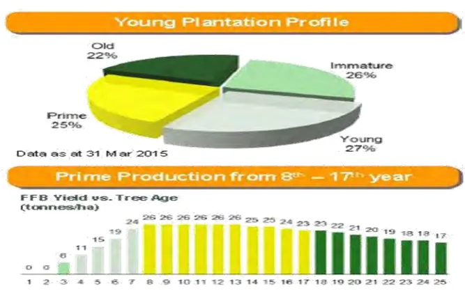 Figure 1.4: Age classification profile of the palm oil tree [1] 