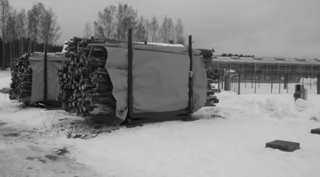 Fig. 1 Drying racks with small diameter stems at Mekrijärvi Research Station 