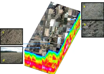 Figure 2. True-color composite of the Hyperion 3D cube sub-scene (7.50 km by 16.08 km)  and acquired photographs of residue (a,b), soil status (c), and mixed soil and residue (d)  for validation purposes
