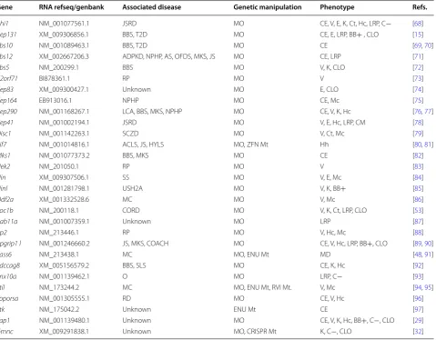 Table 1 Current zebrafish functional analysis, with zebrafish-specific references, of genes identified through the SCGS list to be BB/centrosome affiliated