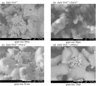 Figure 6. Surface morphology of Cucentration in %wt. and 3% of Y2+ + Y3+ doped ZnO as a function of Cu2+ ion con-3+ fixed