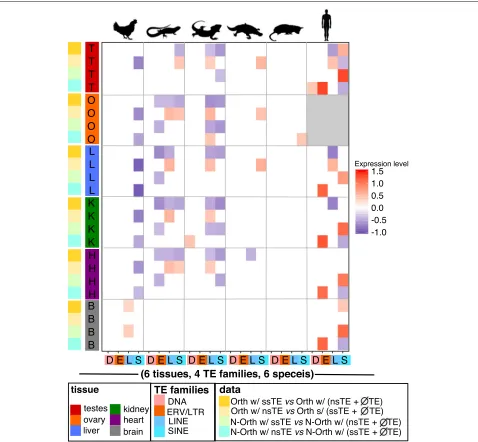 Fig. 4 Changes in the levels of ortholog/non-ortholog gene expression as a function of TE insertion