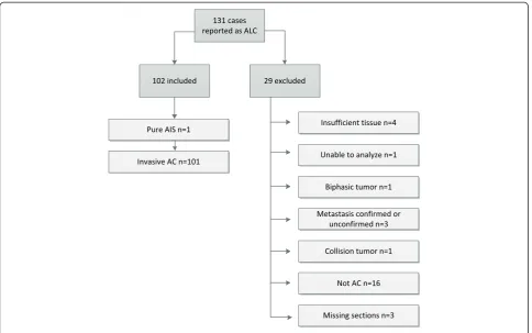 Fig. 1 Overview of inclusion and exclusion of patients