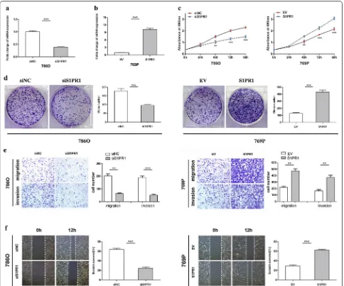 Fig. 3 S1PR1 promotes the proliferation, migration and invasion of ccRCC cells in vitro