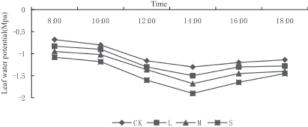 Fig. 1 Sugarcane leaf water potential under different irrigations˄tillering stage). 