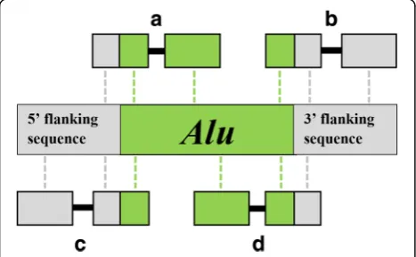 Fig. 1 Computational detection ofreads spanning thespanned the 5The four split-reads represented in this figure are labeledusing split-reads
