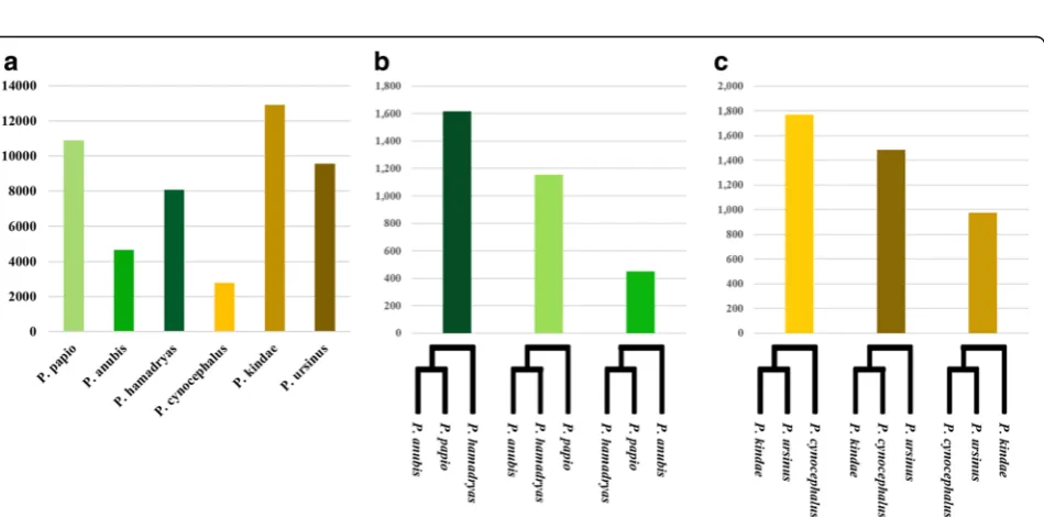 Fig. 3 Common patterns of shared Alu insertion polymorphisms. a The number of Alu insertions shared exclusively between the specieshighlighted in each row