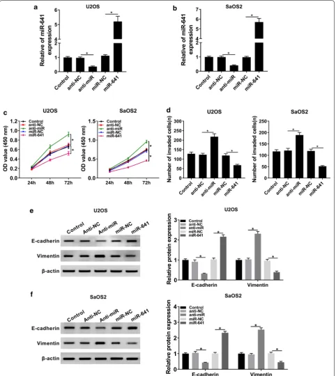 Fig. 4 MiR-641 inhibited proliferation and invasion of OS cells. a, b The expression level of miR-641 in Control and OS cells transfected with Anti-miR, miR-641, or corresponding negative controls was checked by qRT-PCR
