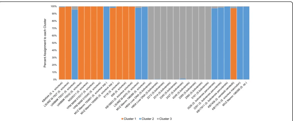 Fig. 3 Population Structure analysis based on 110 Alu insertion polymorphisms and 32 squirrel monkey individuals for K = 3