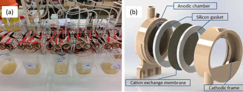Figure 1. (a) MFC experimental set-up; (b) 3D CAD assembly of the single chamber MFC