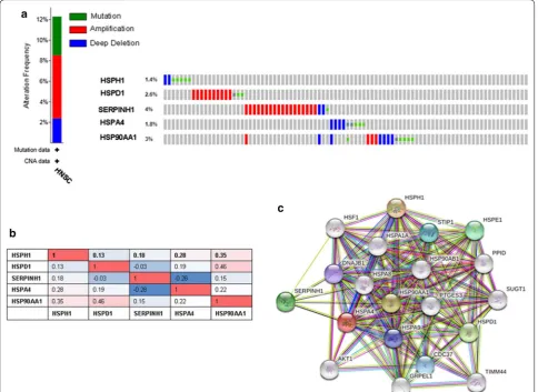 Fig. 5 Expression of HSP genes and mutation analysis in HNSC. a Summary of alterations in HSPs