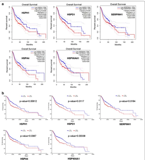Fig. 6 The prognostic values of HSP family members in HNSC patients. The overall survival curves comparing HNSC patients with high (red) and low (blue) HSPH1, HSPD1, SERPINH1, HSPA4, and HSP90AA1 expression levels were plotted using the GEPIA (threshold a) and OncoLnc databases (b) at the p-value of < 0.05