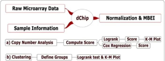 Figure 1 The overview of dChip survival functions for microarray data. MBEI: model-based expression index.