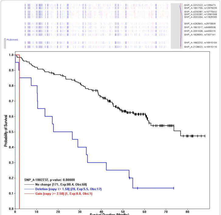 Figure 6 The Kaplan-Meier plot for a SNP, using its copy numbers to group samples. The copy number deletion at SNP_A-1882232 (rs16915104 at chromosome 12p12.3) is associated with poor survival