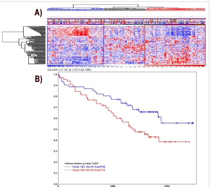 Figure 7 The Kaplan-Meier survival plots from expression-based sample clusters. (A) In the sample clustering view from the “Analysis >