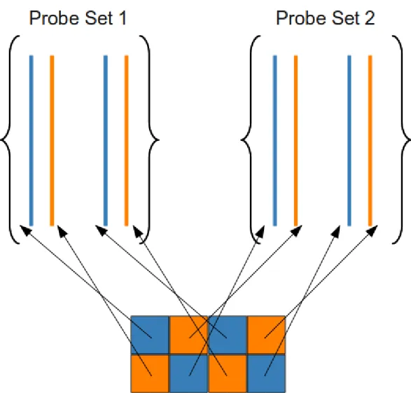 Figure 1.2: The logical design of an Aymetrix GeneChip®.