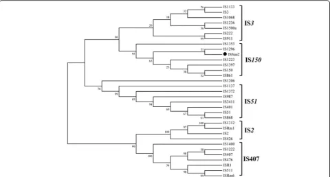 Fig. 2 A dendrogram based on alignment of the amino acid sequences of predicted OrfB proteins from different IS3 elements