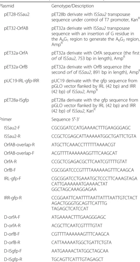 Table 1 Plasmids and primers used in this studya