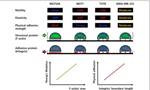 Fig. 6 Schematic diagram showing correlation between the motility and mechanical properties