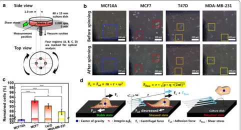 Fig. 4 Physical adhesion strength test utilizing spinning disk technique. a Schematic diagram of spinning disk system