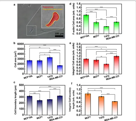 Fig. 5 Single cell size quantification for analyzing cell mechanics. a Projected area and boundary length of cell was calculated using image processing software (Gwyddion V2.52)