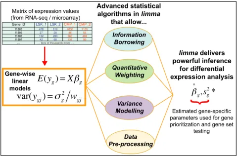 Figure 1. Schematic of the major components that are central to any limma analysis. For each gene g, we have a vector of gene expression values (y g ) and a design matrix X that relates these values to some coefficients of interest ( ␤ g )