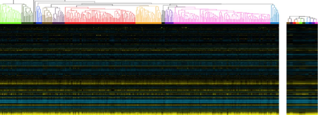 Fig. 1. Clustering procedure applied to subset of compendium. To reduce the contributions of highly replicated conditions in the compendium, we applied agglomerative hierarchical clustering using a distance metric based on Spearman’s rank correlation to th