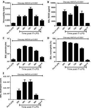 Figure 2Markers of lung injury in C57Bl/6 mice post IT-LPS. C57Bl/6 mice were instilled via IT route with 50 µg LPS