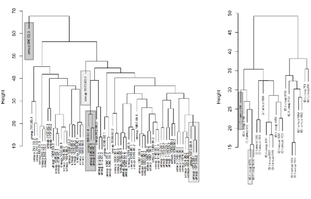 Figure 2-8  Detection of outliers in technical replicates through clustering.  