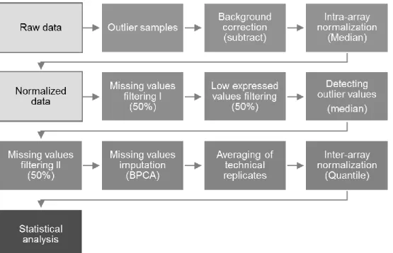 Figure 2-10  Preprocessing workflow as established for this investigation.  