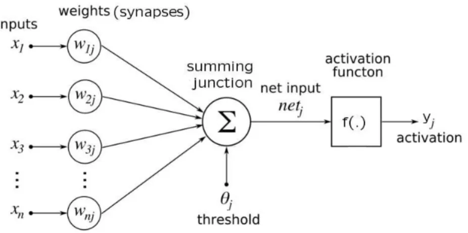 Figure 3.1 shows the model of a neuron. There are four basic components of the model: