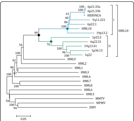 Fig. 2 Phylogenetic analysis of the full-length retrieved sequencesand other endogenous and exogenous Betaretroviruses