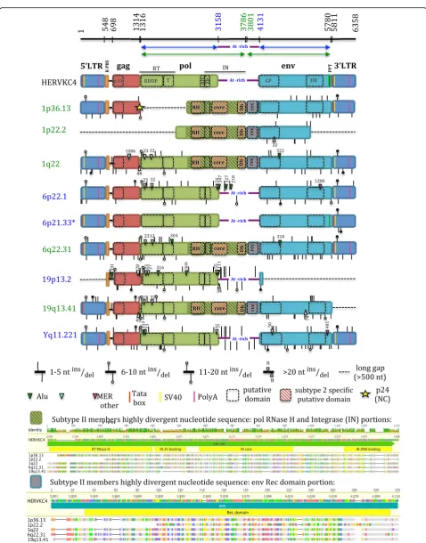 Fig. 3 (See legend on next page.)