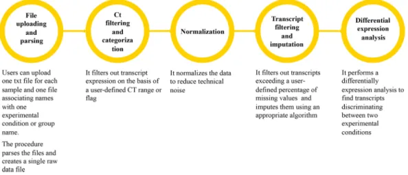 Figure 1.  Schematic representation of the analysis procedures implemented in PIPE-T. Input files are uploaded  and parsed for initiating the analysis